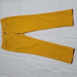 Loft Corduroy Pants